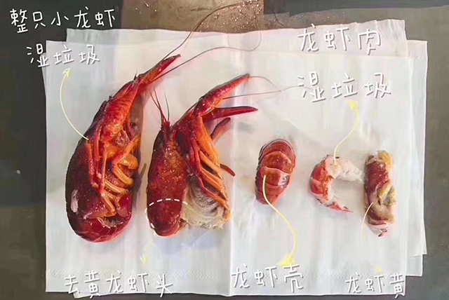 万宝路公司(中国区) - 官方网站